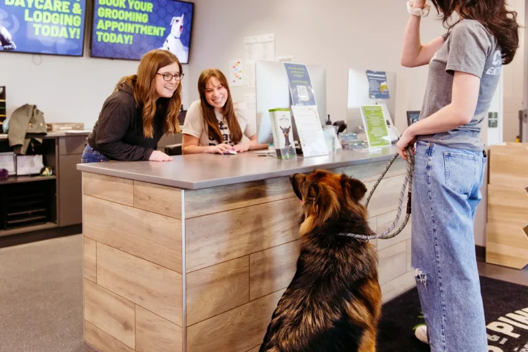 Front desk staff greeting a dog and owner at check-in